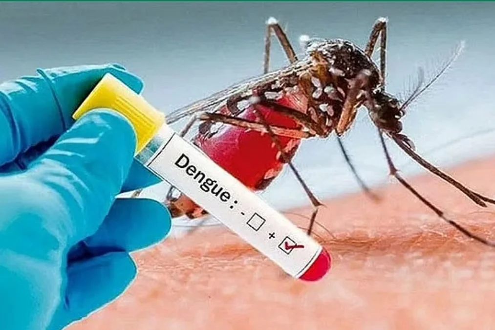 সেপ্টেম্বরে ভয়ংকর রূপে ডেঙ্গু, এক মাসেই মৃত্যু ৭৬ জনের