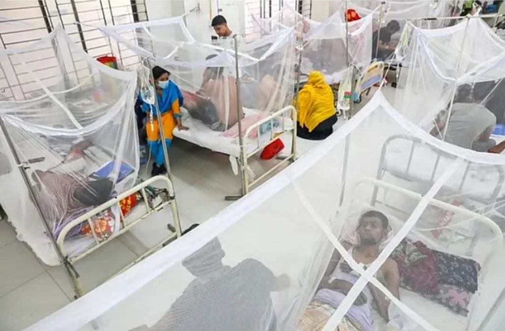 ডেঙ্গুতে আক্রান্ত হয়ে হাসপাতালে ভর্তি ৫০ হাজার ছাড়াল, এ পর্যন্ত মৃত্যু ২১৫