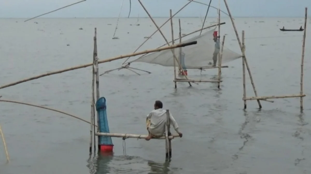 হাওরে হারিয়ে যাচ্ছে দেশি মাছ, হুমকিতে জীববৈচিত্র্য ও জেলেদের জীবিকা
