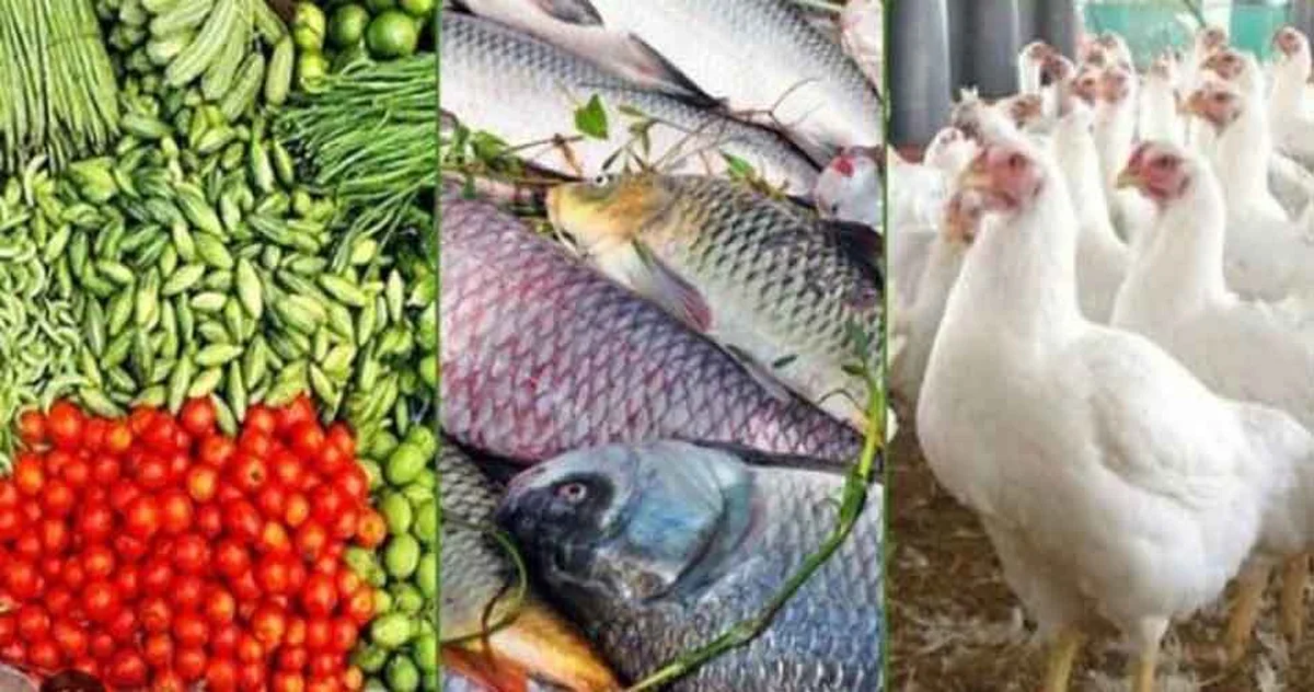 বাজারে বাড়ছে ব্রয়লার মুরগি ও মাছের দাম