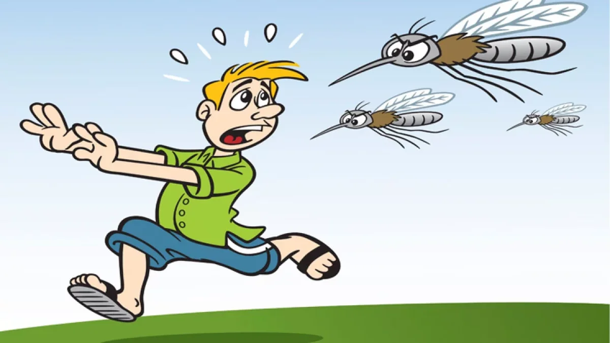 দায়িত্বহীনতায় বেড়েছে মশার দৌরাত্ম্য, নাগরিকদের ক্ষোভ