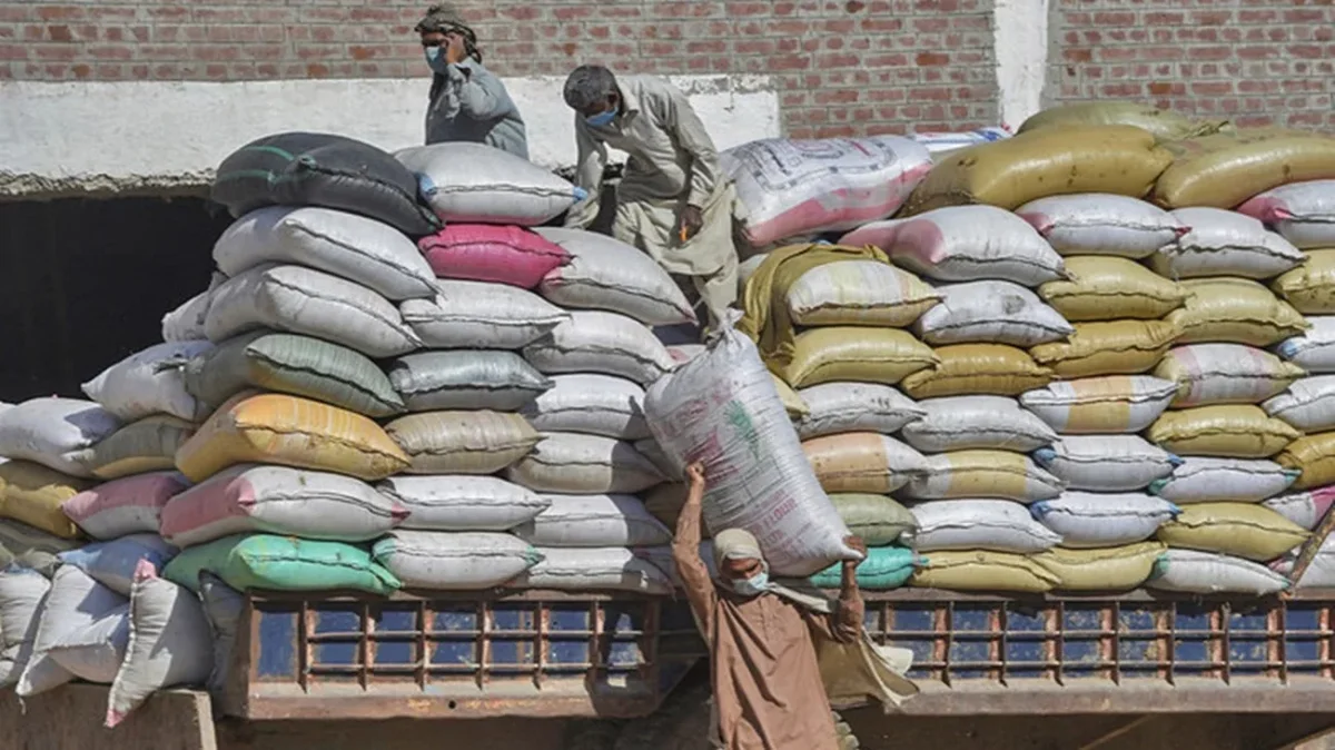 বাংলাদেশে ১ লাখ টন চাল রপ্তানির প্রস্তুতি পাকিস্তানের