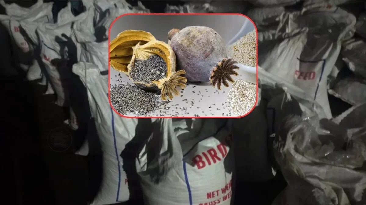 পাখির খাদ্যের নামে পাকিস্তান থেকে এলো নিষিদ্ধ পপি বীজ