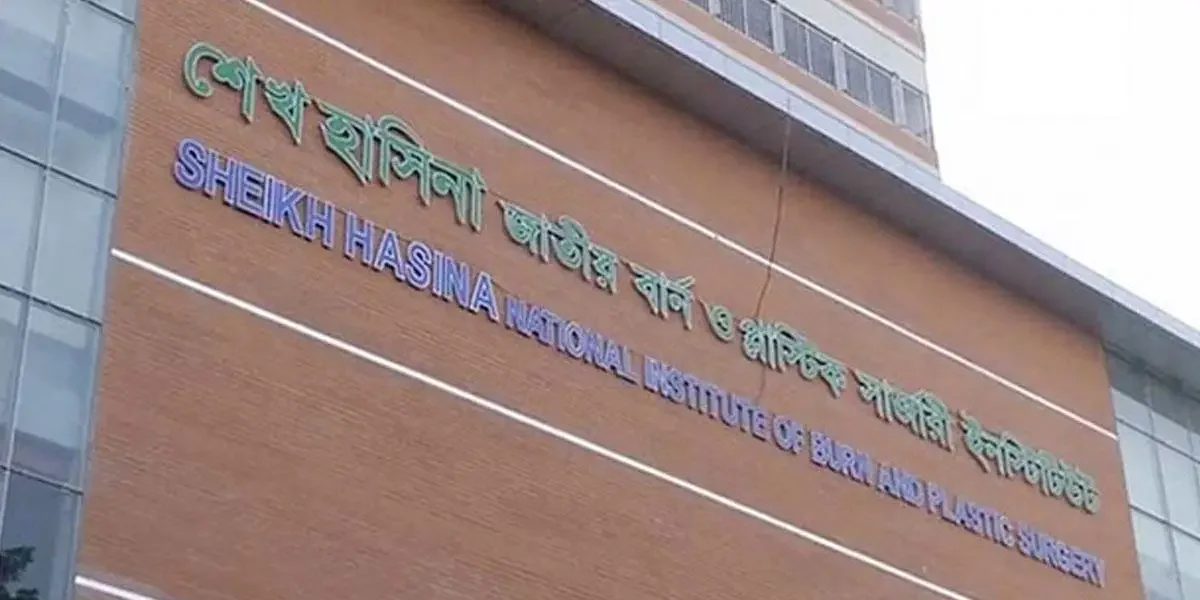 নরসিংদীতে ঘুমন্ত মা ও সন্তানদের গায়ে পেট্রোল ঢেলে আগুন, দগ্ধ ৫