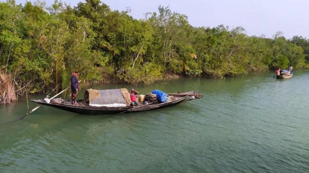 সুন্দরবনে ফের জলদস্যু আতঙ্ক, বনজীবীরা নিরাপত্তাহীনতায়
