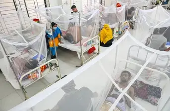 ডেঙ্গুতে আক্রান্ত হয়ে হাসপাতালে ভর্তি ৫০ হাজার ছাড়াল, এ পর্যন্ত মৃত্যু ২১৫