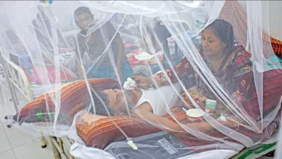 দেশে ডেঙ্গু সংক্রমণ ৮১% বেড়েছে, একদিনে সর্বোচ্চ ১২ জনের মৃত্যু