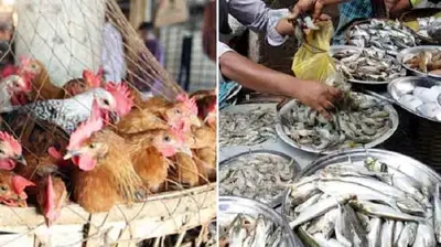 ঈদের বাজারে মুরগি-ডিম-মাছের দামে অস্বস্তি