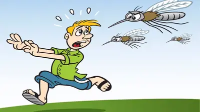 দায়িত্বহীনতায় বেড়েছে মশার দৌরাত্ম্য, নাগরিকদের ক্ষোভ