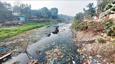 সংকটাপন্ন ৮১ নদীর অস্তিত্ব হুমকিতে